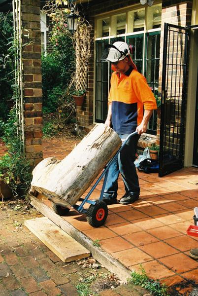 Canopy Tree Pty Ltd: Sydney