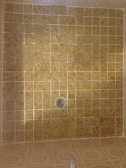 Complete Showers