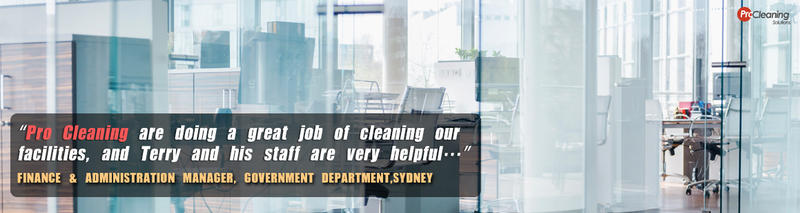 Pro Cleaning Solutions: Mascot