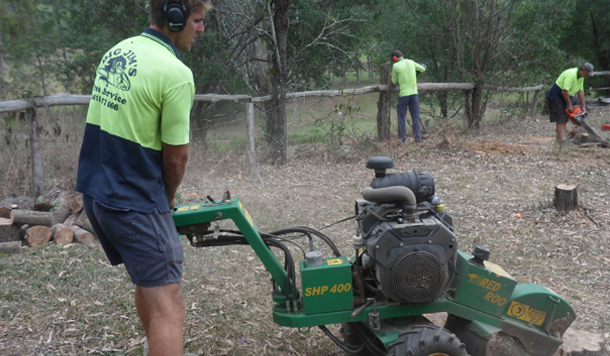 Ryan's Stump Grinding