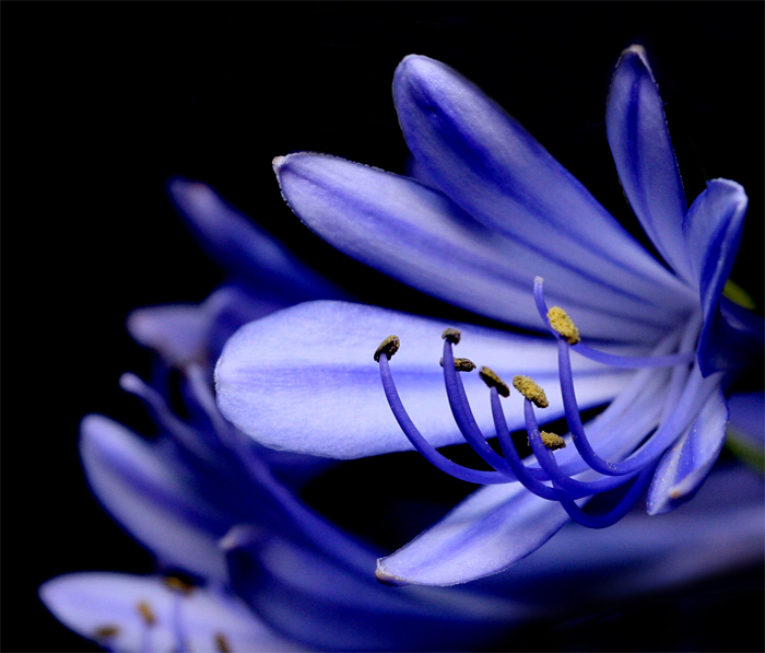 Rebecca Newton Photography
