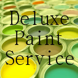 Deluxe Paint Service logo