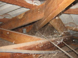 JM Pest Management