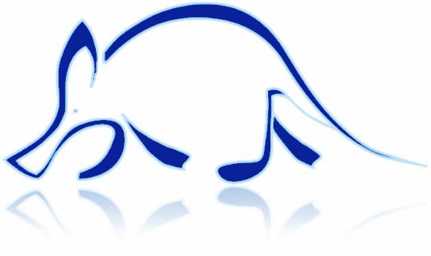 Aardvark Security Locksmiths logo