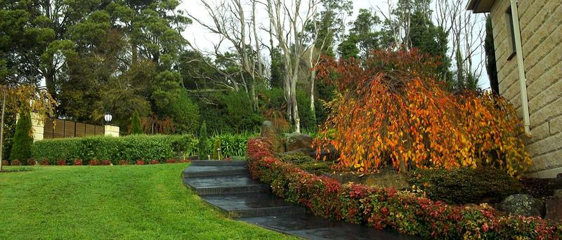 Able Lawn Mowing and Garden Care