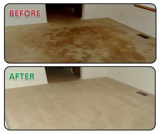 Gold Label Carpet Cleaning