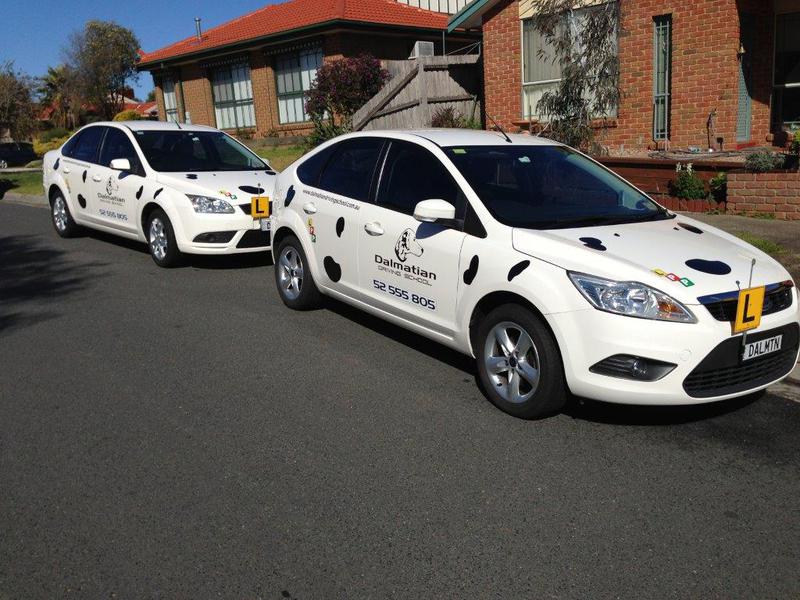 Dalmatian Driving School