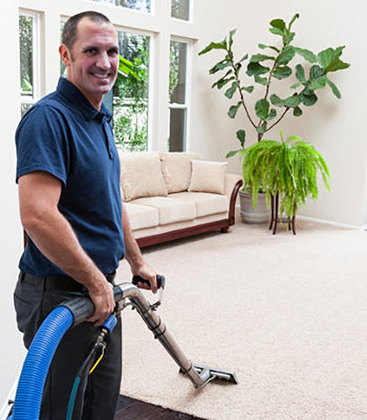 Trusted Cleaner
