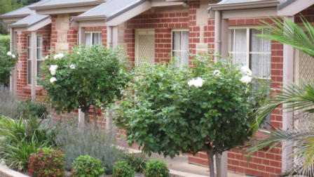 Magill Retirement Village