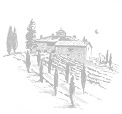 Under The Tuscan Moon