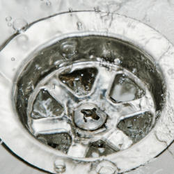 Water Damage QLD logo