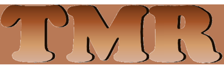 Treadmill Master Repairs logo