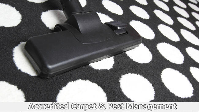 Accredited Carpet & Pest Management