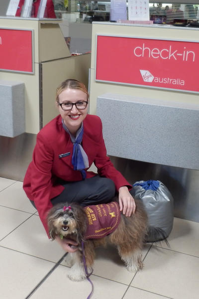 Disability Aid Dogs Pty Ltd