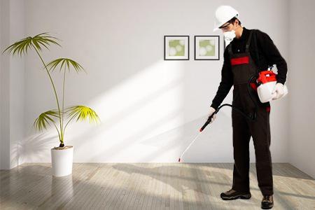 Termite Tech