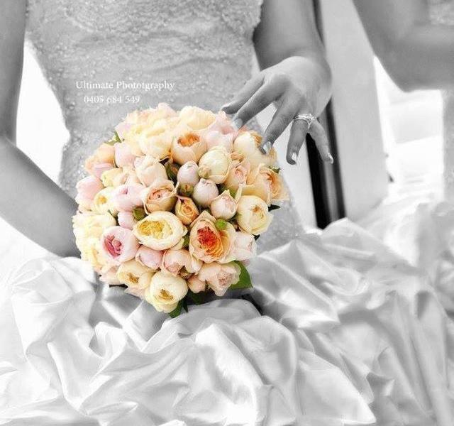 Ultimate Photography Photos