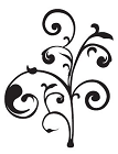 Patricia Curtis Consulting