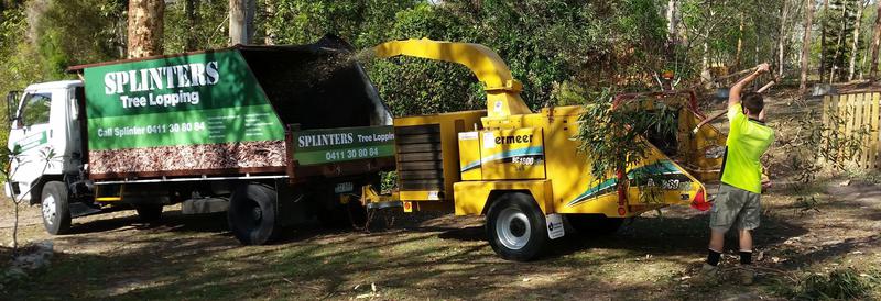 Splinter Tree Lopping
