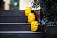 Ray White: Urban Springs