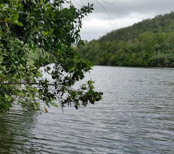 Hinchinbrook Views