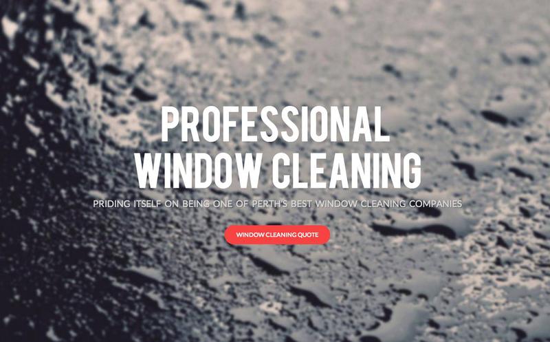 Professional Window Cleaning logo