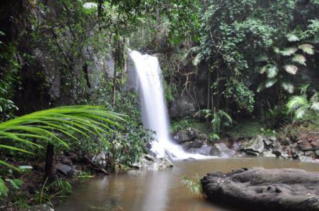 Gold Coast 4wd Day Tours