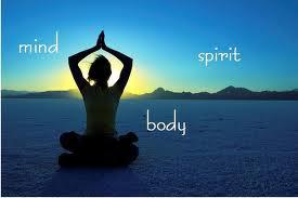 Career Wellness