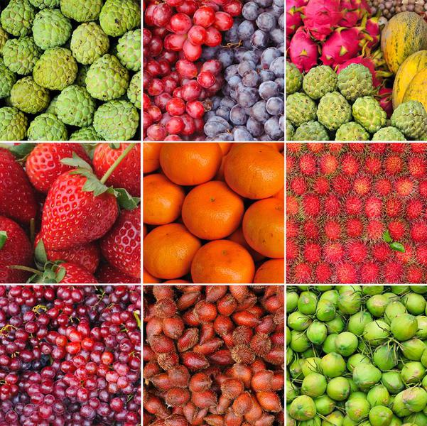 Gaining Health Naturopathy