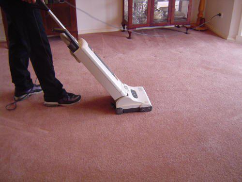 Spot on Carpet: Hinchinbrook