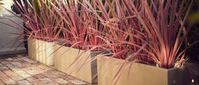 Pots R Us: Moorabbin