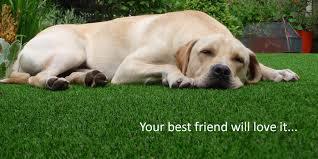 T & C Lawn Care & Maintenance