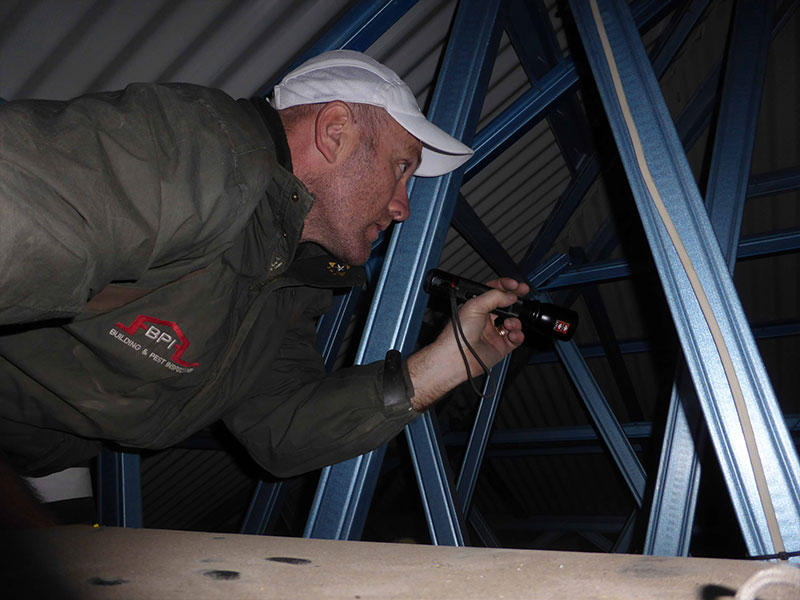 Building and Pest Inspections: Melbourne North