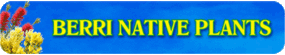 Berri Native Plants