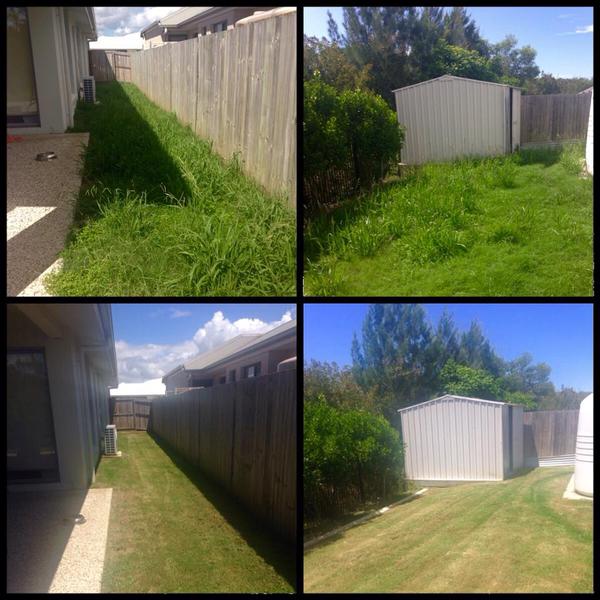 Thedge Garden Maintenance