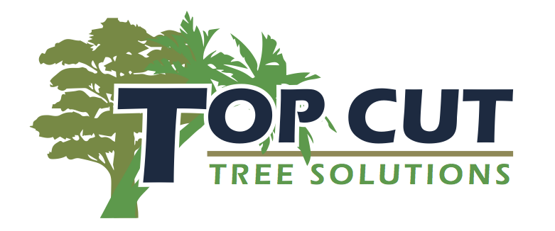 Top Cut Tree Solutions