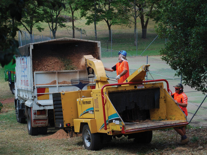 Total Tree Services