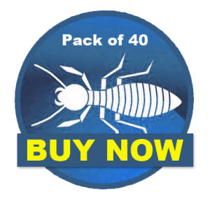 DIY Termite Detection