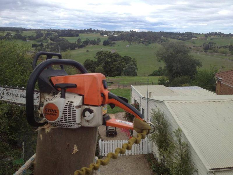 Roots 2 Leaves Tree Services