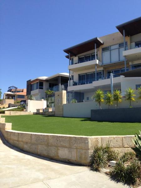 All Seasons Synthetic Turf