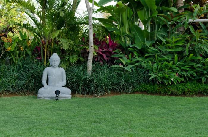 Jungle Gardens