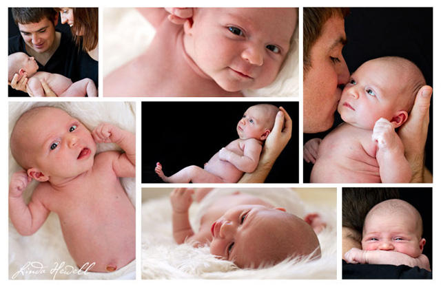 Linda Hewell Photography