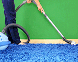 Clean to Shine: Bundoora