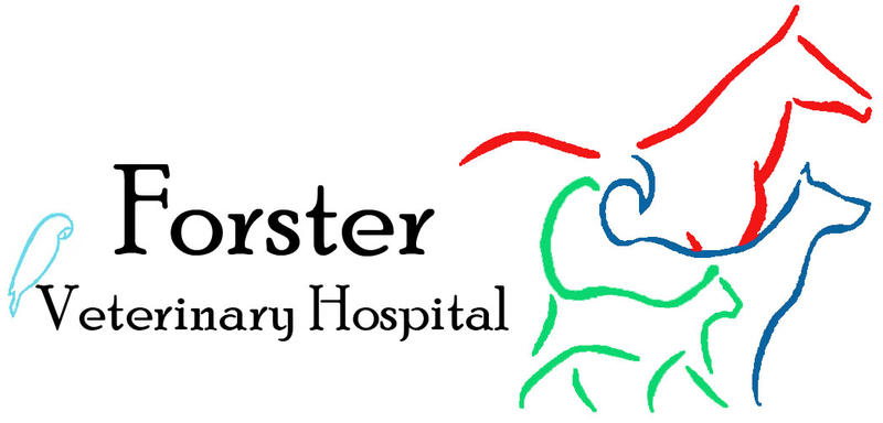 Forster Veterinary Hospital