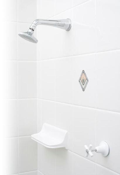 Tile Rescue Pty Ltd: Hawks Nest