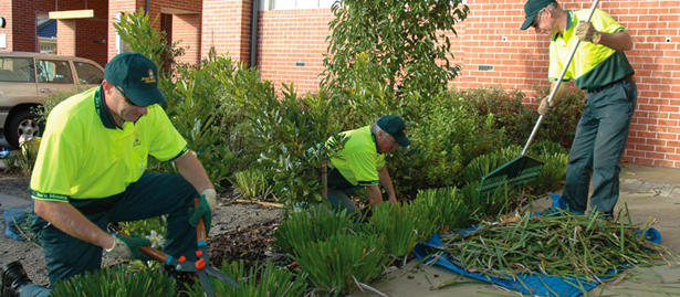 Jim's Mowing: Geelong