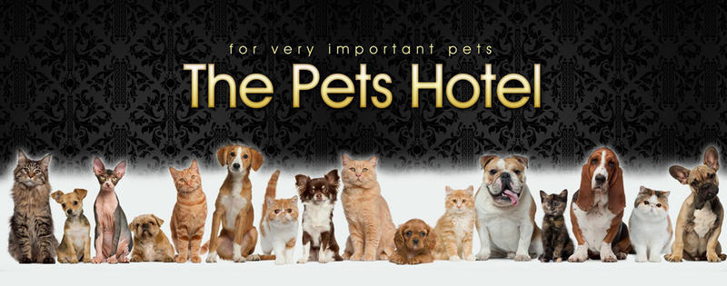 The Pets Hotel