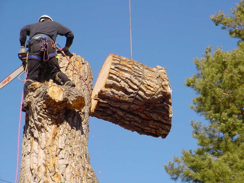 Riverlands Tree Services Pty Ltd