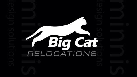 Big Cat Relocations