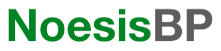 Noesis Business Partners
