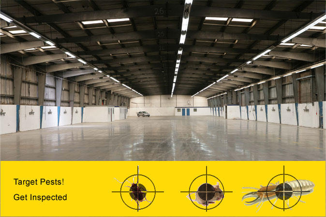 Pest Inspection Perth